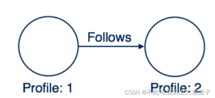 Neo4j 图数据库系统架构图_图数据库_09