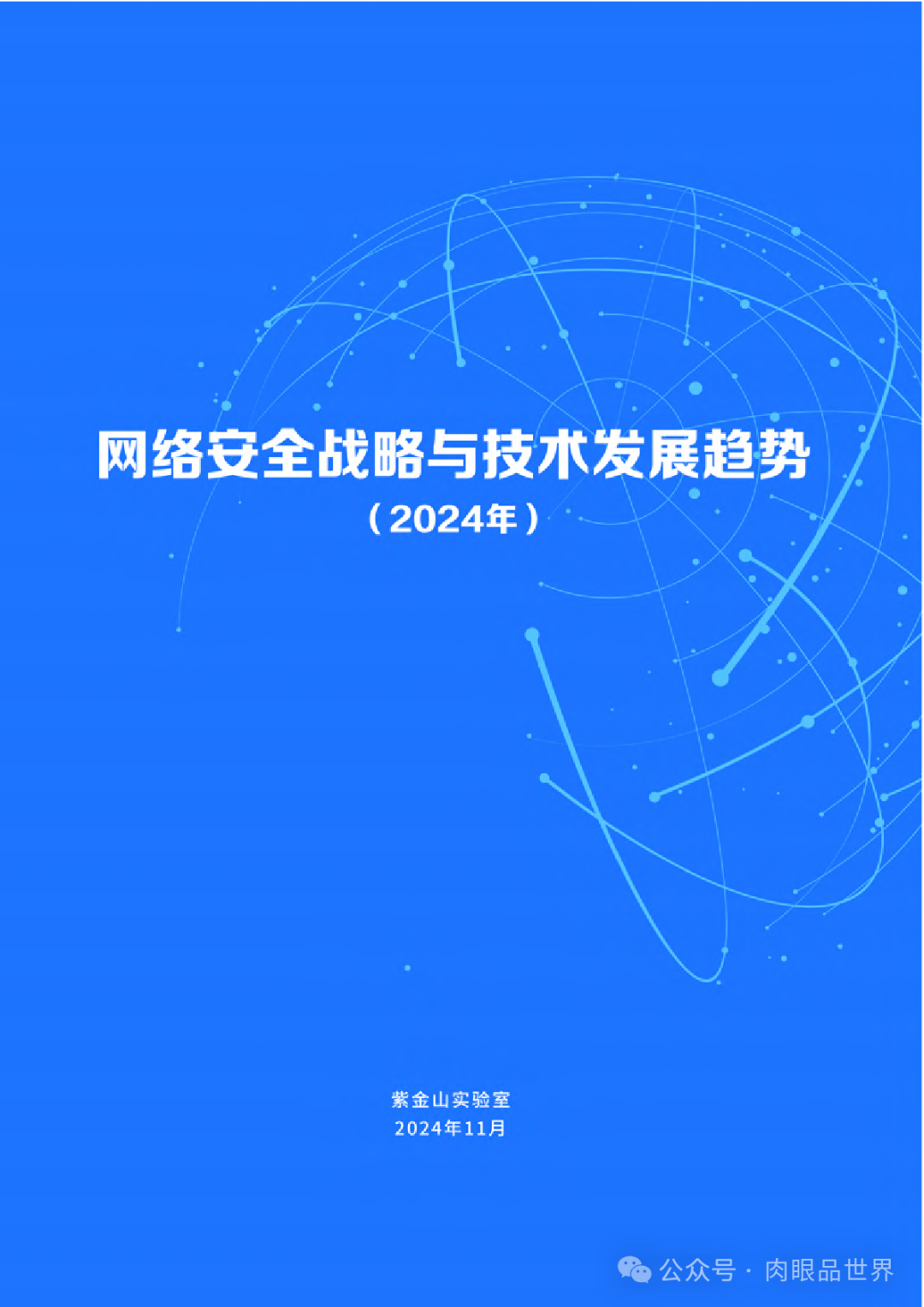 紫金山实验室：网络安全战略与技术发展趋势蓝皮书（2024年）(附下载)_架构师