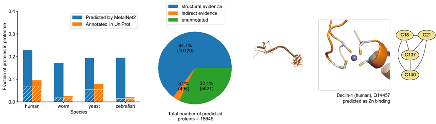 号外 | 王初课题组开发了用于预测蛋白质组中金属结合位点的在线服务器MetalNet2..._服务器_05