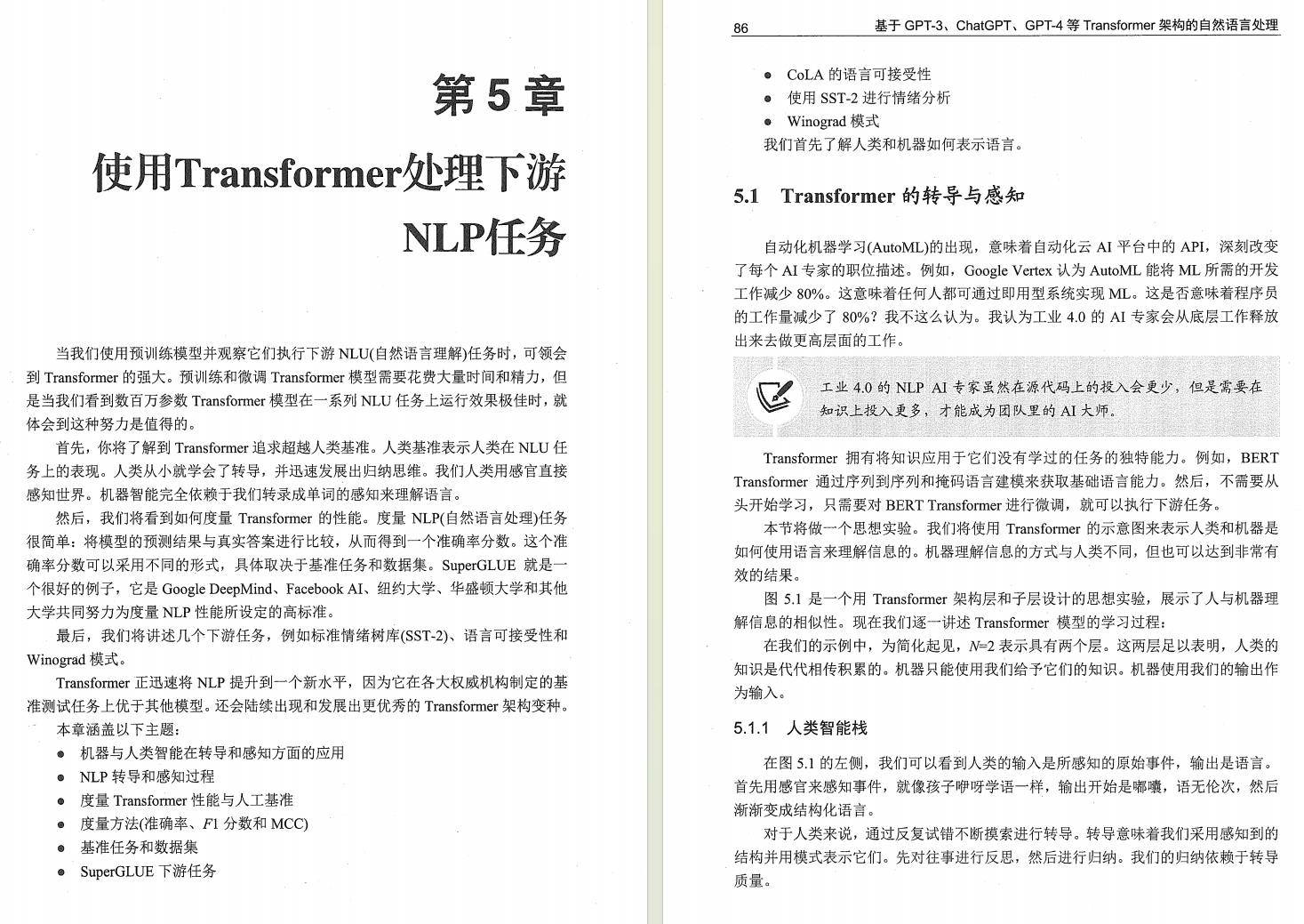 内行人都在学的大模型黑书，《基于GPT-3、ChatGPT、GPT-4等Transformer架构的自然语言处理》（附PDF）_transformer_06