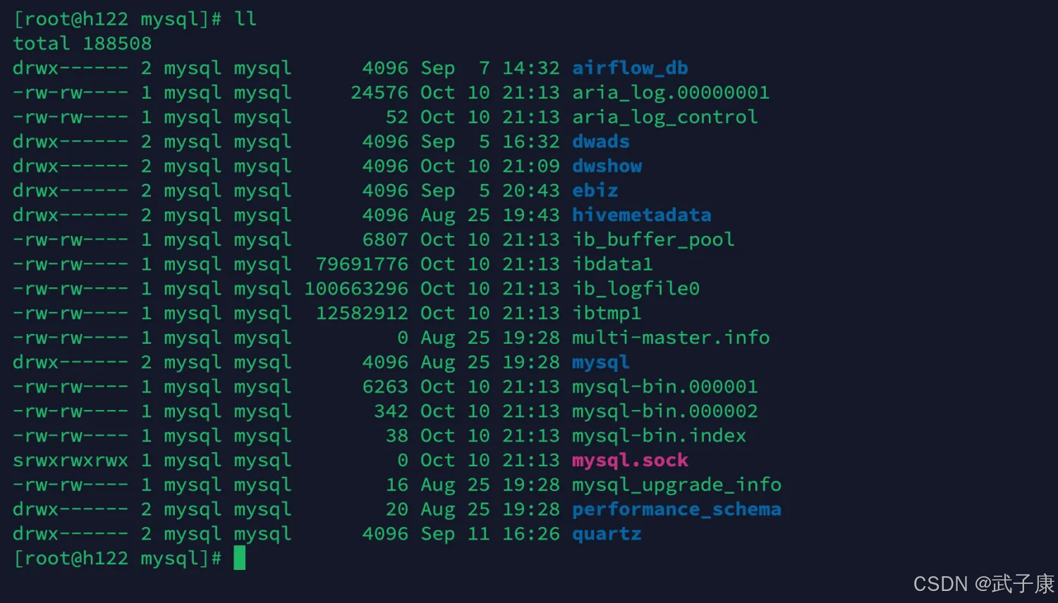 大数据-264 实时数仓 - Canal MySQL的binlog研究 存储目录 变动信息 配置MySQL_java_11