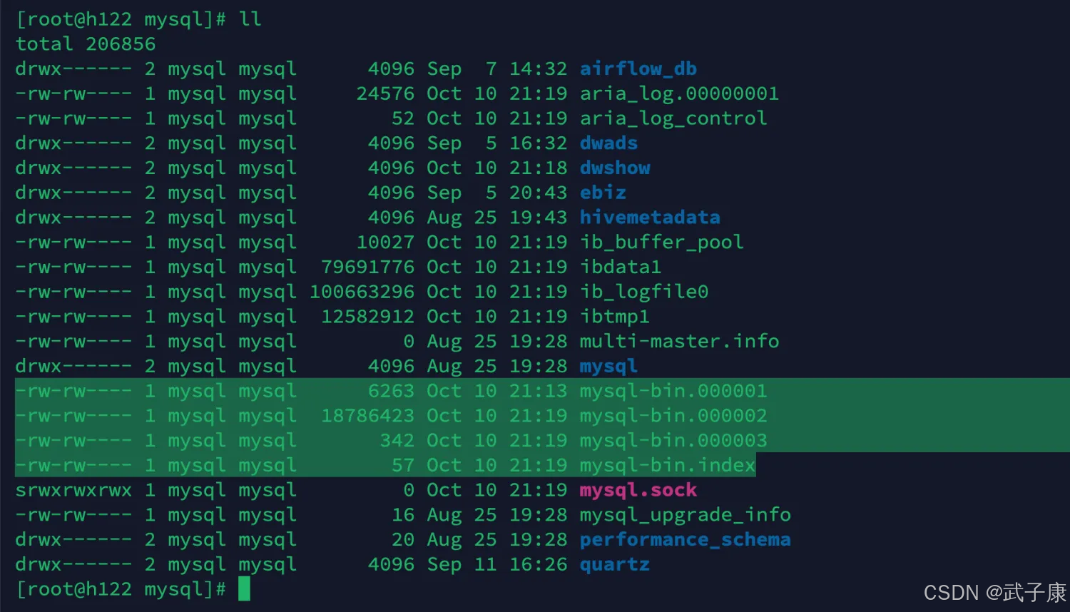 大数据-264 实时数仓 - Canal MySQL的binlog研究 存储目录 变动信息 配置MySQL_数据仓库_14