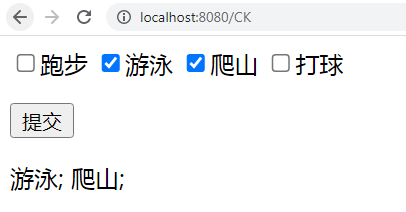 WebBroker_PageProducer1_前端_及_结果返回替换_返回结果_03