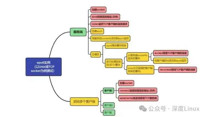 一文搞懂epoll：高效I/O多路复用的核心技术_多路复用