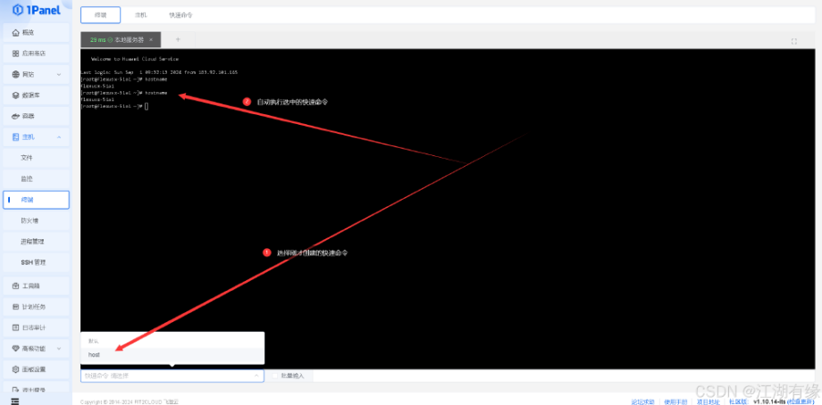 使用 Linux 管理面板 1Panel 管理华为云 Flexus 云服务器 X 实例_Cloud_27