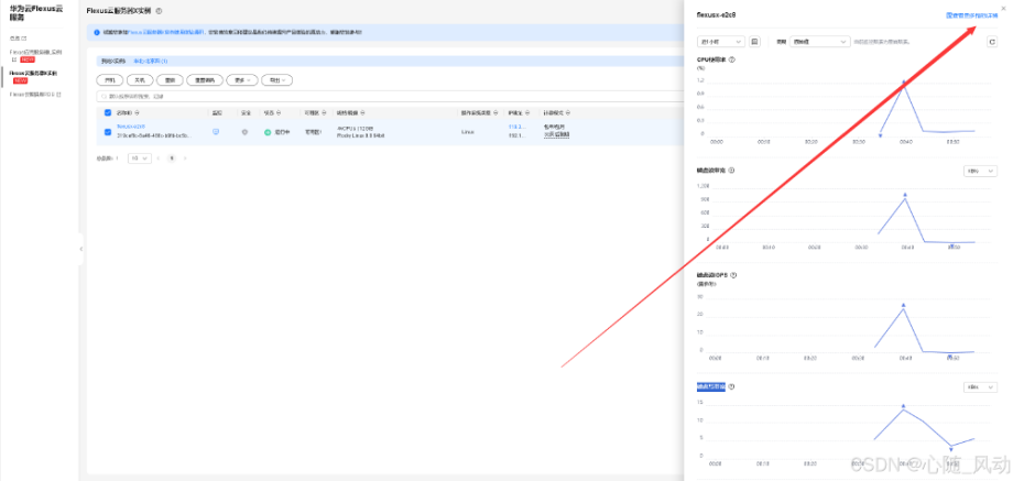 华为云 Flexus 云服务器 X 实例的使用教程_云服务_22