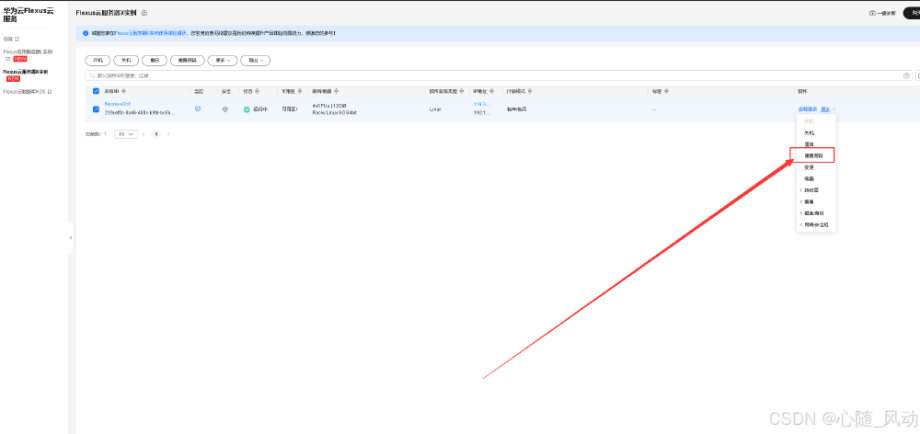 华为云 Flexus 云服务器 X 实例的使用教程_自定义_12