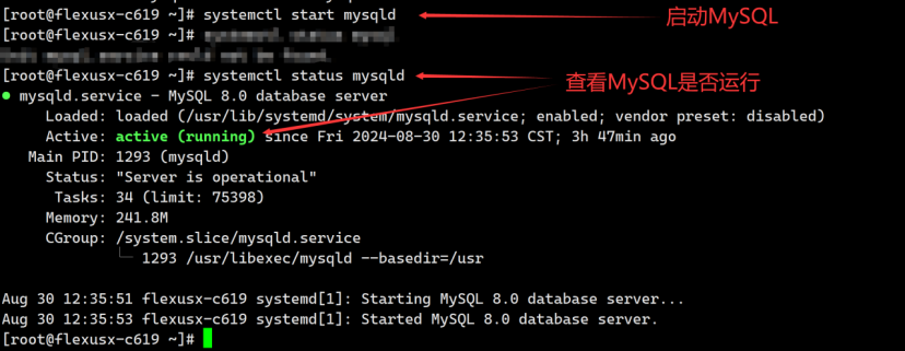 华为云 Flexus X 实例评测使用体验——MySQL 安装全过程 +MySQL 读写速度测试_MySQL_07