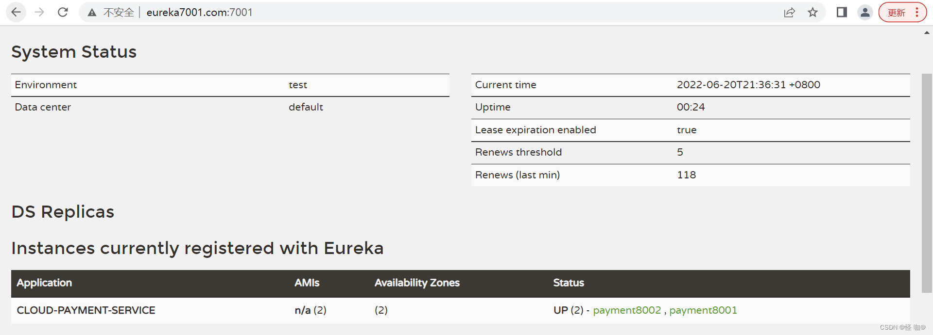 spring eureka网页设置密码_java_34