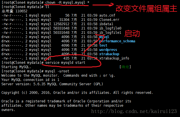 备份集中数据库备份与现有的test数据库不同_linux mysql集群 备份与恢复_19