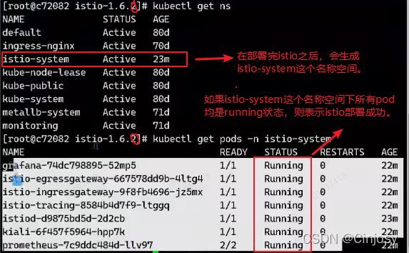 istoreos设置docker docker istio_容器_10