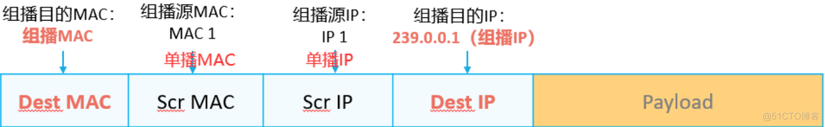 IP组播基础_数据