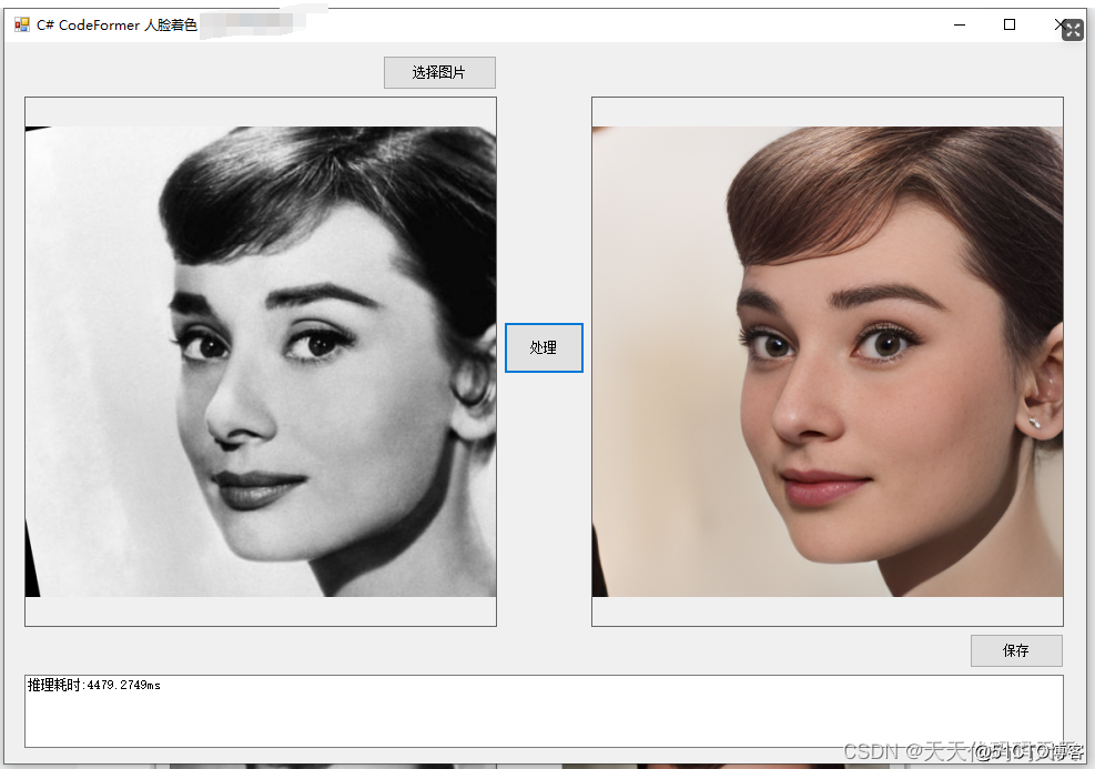 C# CodeFormer Colorization 人脸着色_人工智能_07