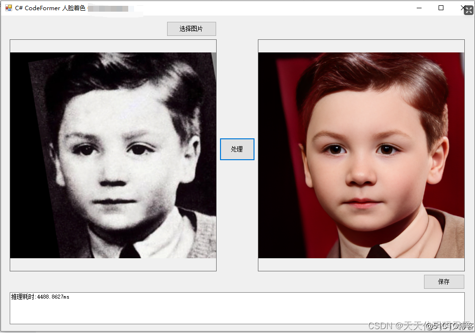C# CodeFormer Colorization 人脸着色_人工智能_04