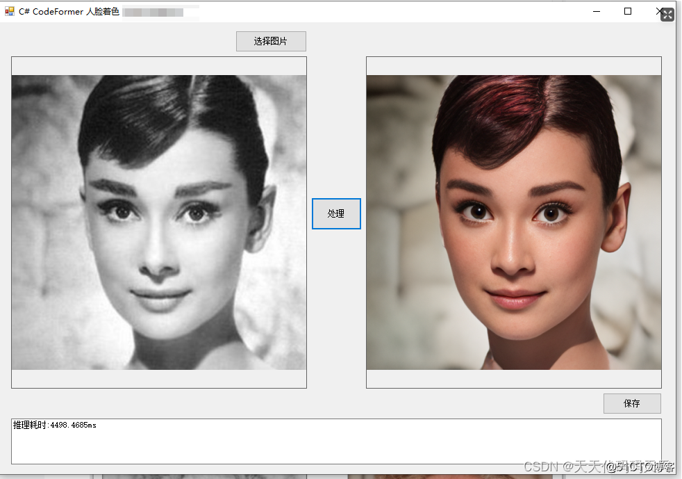 C# CodeFormer Colorization 人脸着色_c#_06