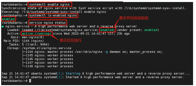 [转帖]nginx 启动、重启、关闭命令详解_nginx_03