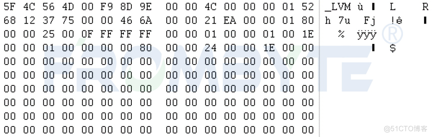 【Netapp数据恢复】Netapp存储lun被误删除的数据恢复案例_存储数据恢复_13