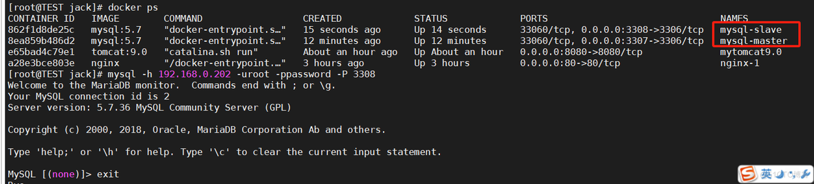 Docker容器第三课：企业级应用部署-实战_docker_37