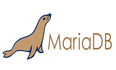 使用 MariaDB 简化数据：将多行合并为一列