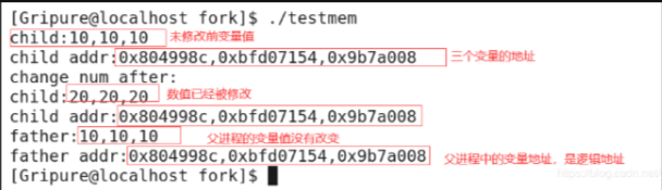 【Linux】进程创建--fork()_父进程_05