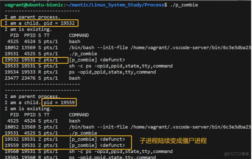 【Linux】僵尸、孤儿进程，地址空间_地址空间_03