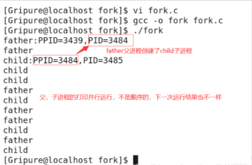 【Linux】进程创建--fork()_父进程_04