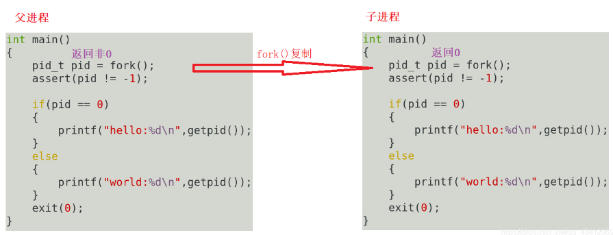 【Linux】进程创建--fork()_父子进程