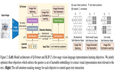 BLIP-2: Bootstrapping Language-Image Pre-training with Frozen Image Encoders and Large Language Mode