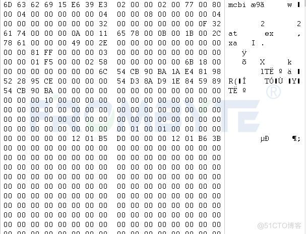 服务器数据恢复—raid5上层StorNext文件系统数据恢复案例_存储数据恢复_05