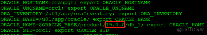 linux 平台下：oracle 11.2.0.4 手工命令行方式 升级19.5 非PDB；_upgrade_06