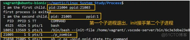 【Linux】僵尸、孤儿进程，地址空间_地址空间_06