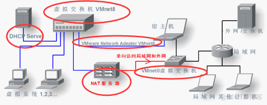 kvm虚机网卡的类型 虚拟机网卡类型_虚拟系统_05