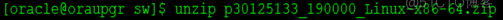 linux 平台下：oracle 11.2.0.4 手工命令行方式 升级19.5 非PDB；_oracle_09