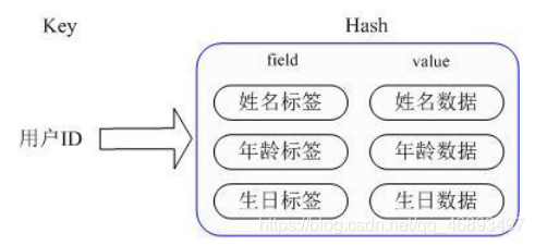 redis map存储千万级数据 redis存储map对象_字段