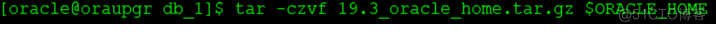 linux 平台下：oracle 11.2.0.4 手工命令行方式 升级19.5 非PDB；_oracle_10