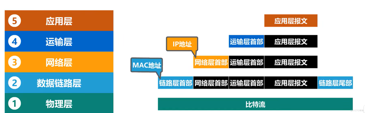 计网-MAC地址、IP地址、ARP协议_网络适配器