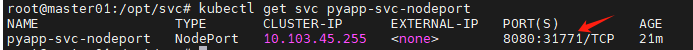 从0开始搞K8S:SVC Service（ClusterIP NodePort）_NodePort_07