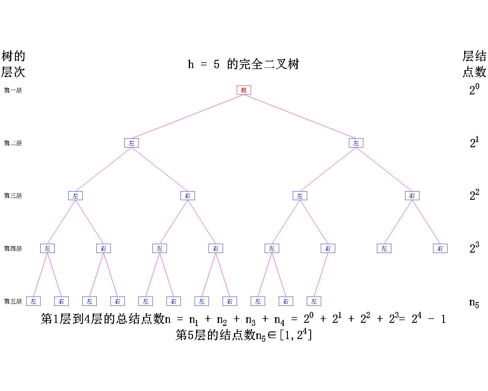 【数据结构】树与二叉树——二叉树的概念_数据结构_24