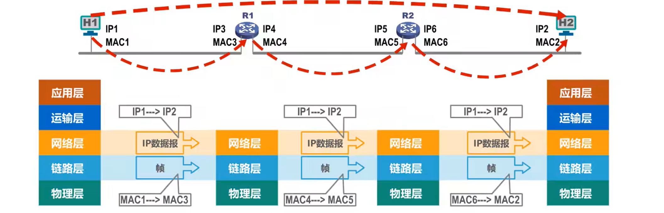 计网-MAC地址、IP地址、ARP协议_网络适配器_02