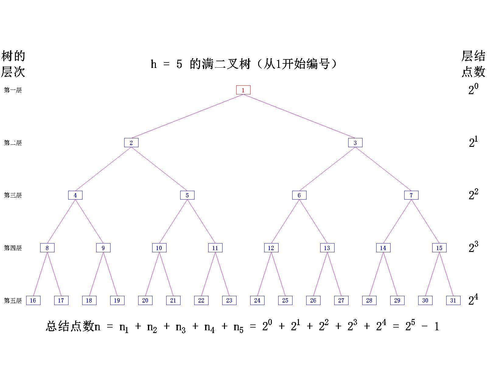 【数据结构】树与二叉树——二叉树的概念_C语言_11