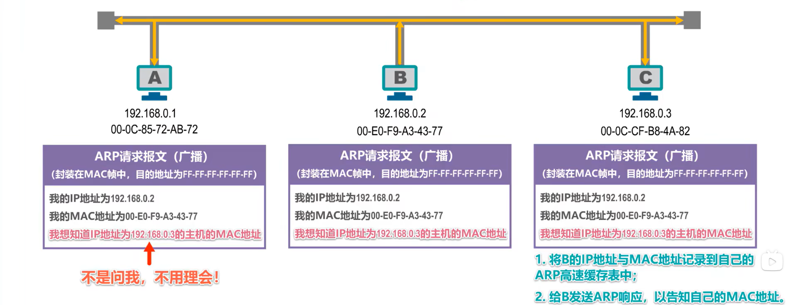 计网-MAC地址、IP地址、ARP协议_网际_04