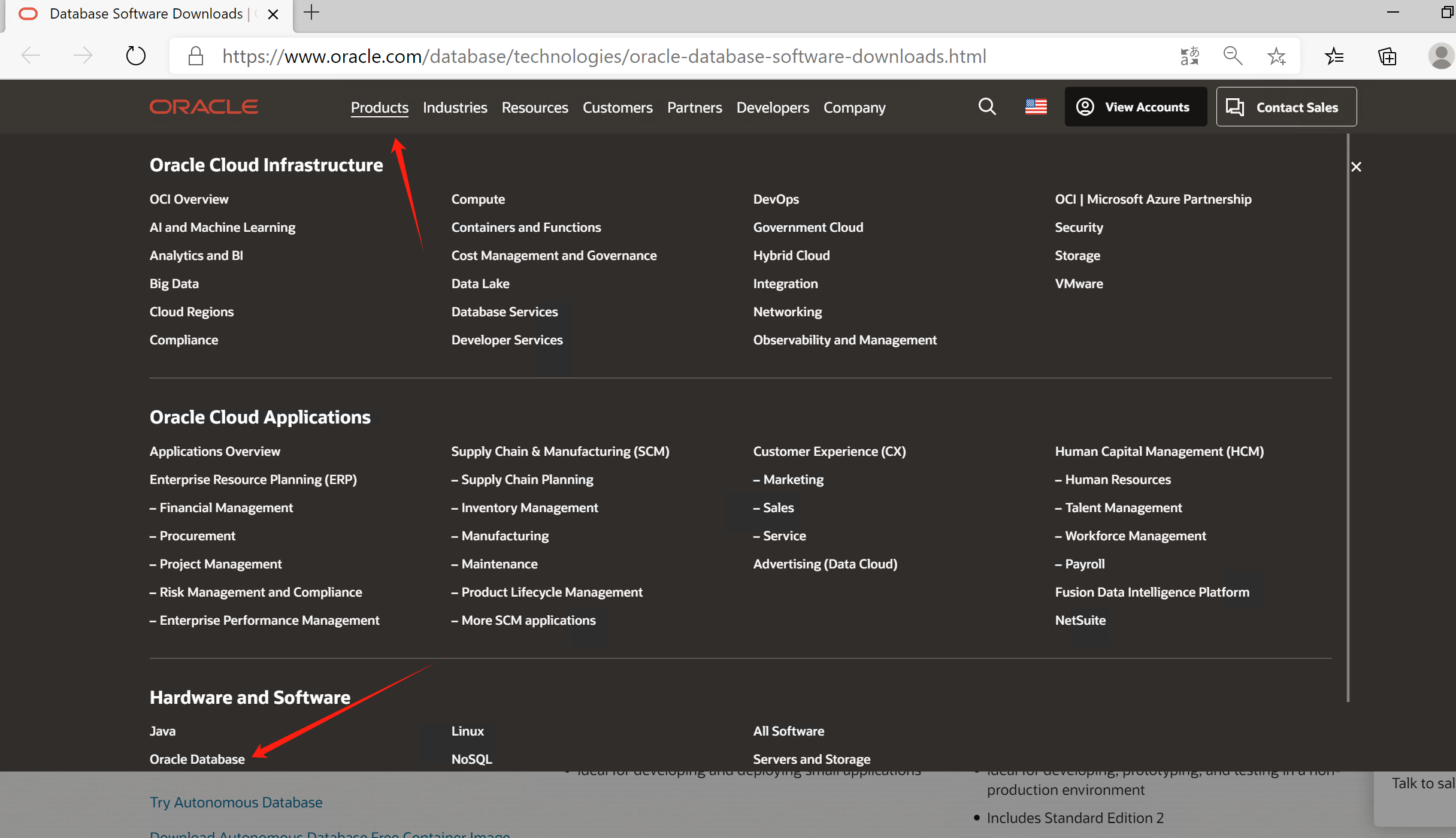 Linux/Windows 中 Oracle 部署_docker