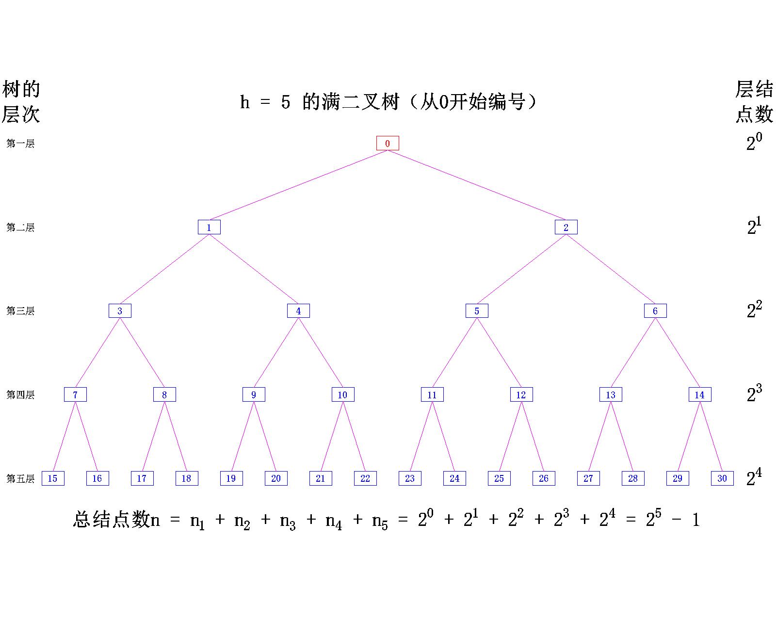 【数据结构】树与二叉树——二叉树的概念_二叉树_15