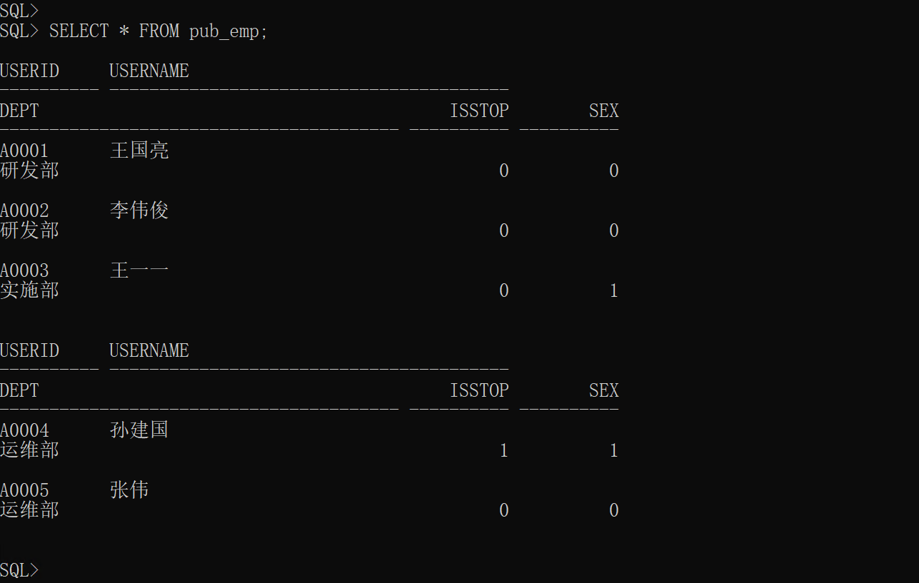 Linux/Windows 中 Oracle 部署_docker_16