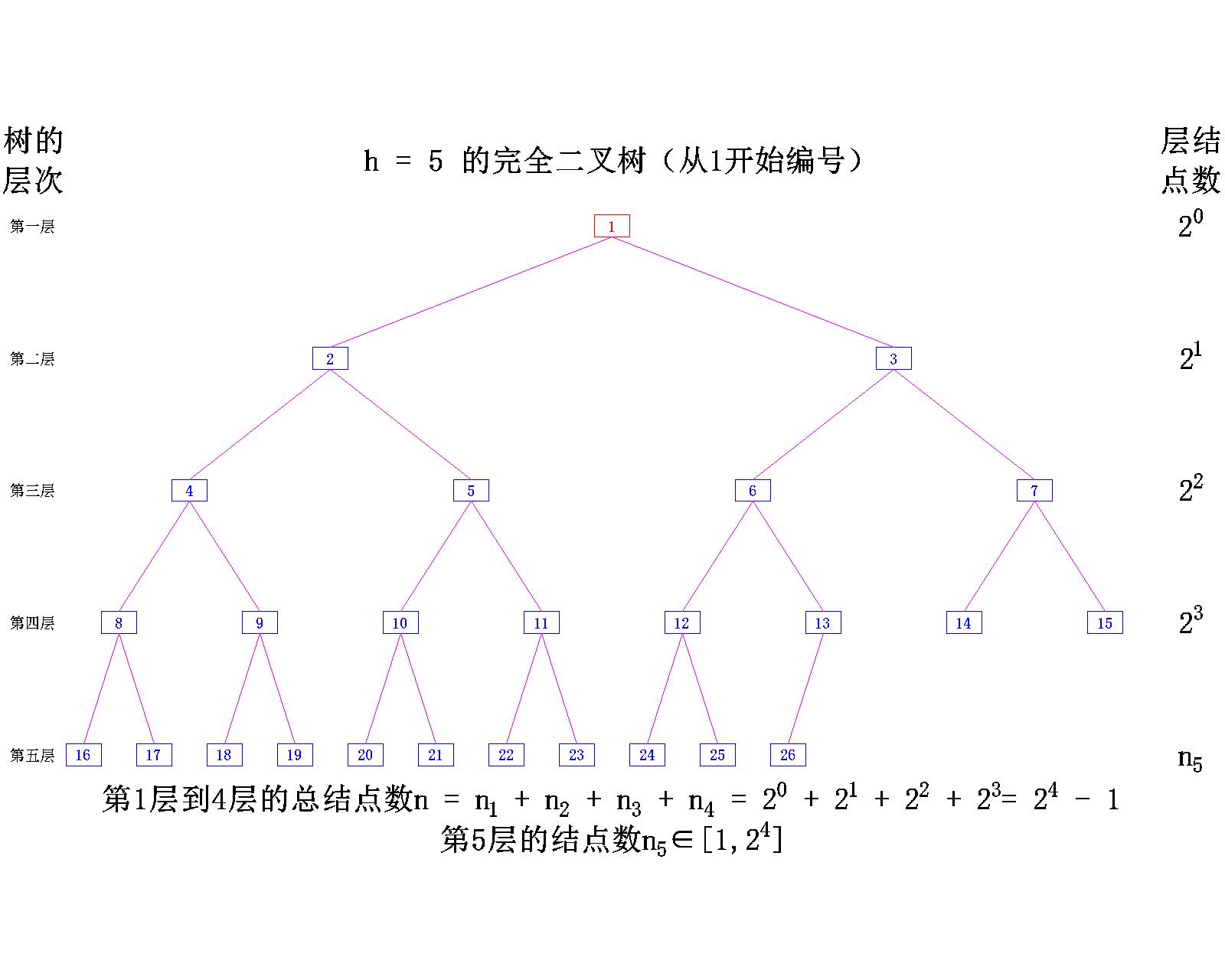 【数据结构】树与二叉树——二叉树的概念_二叉树_29