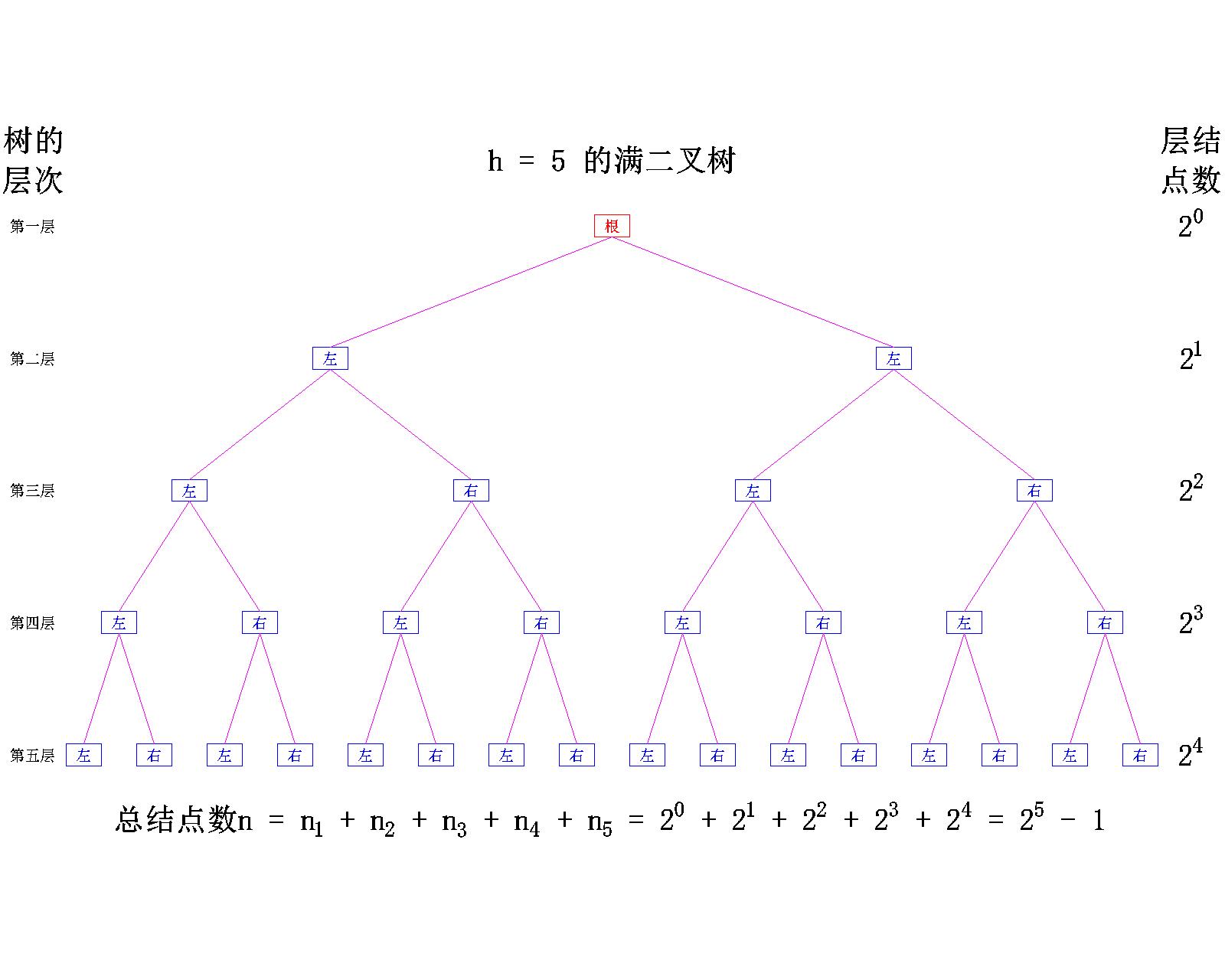 【数据结构】树与二叉树——二叉树的概念_二叉树_08