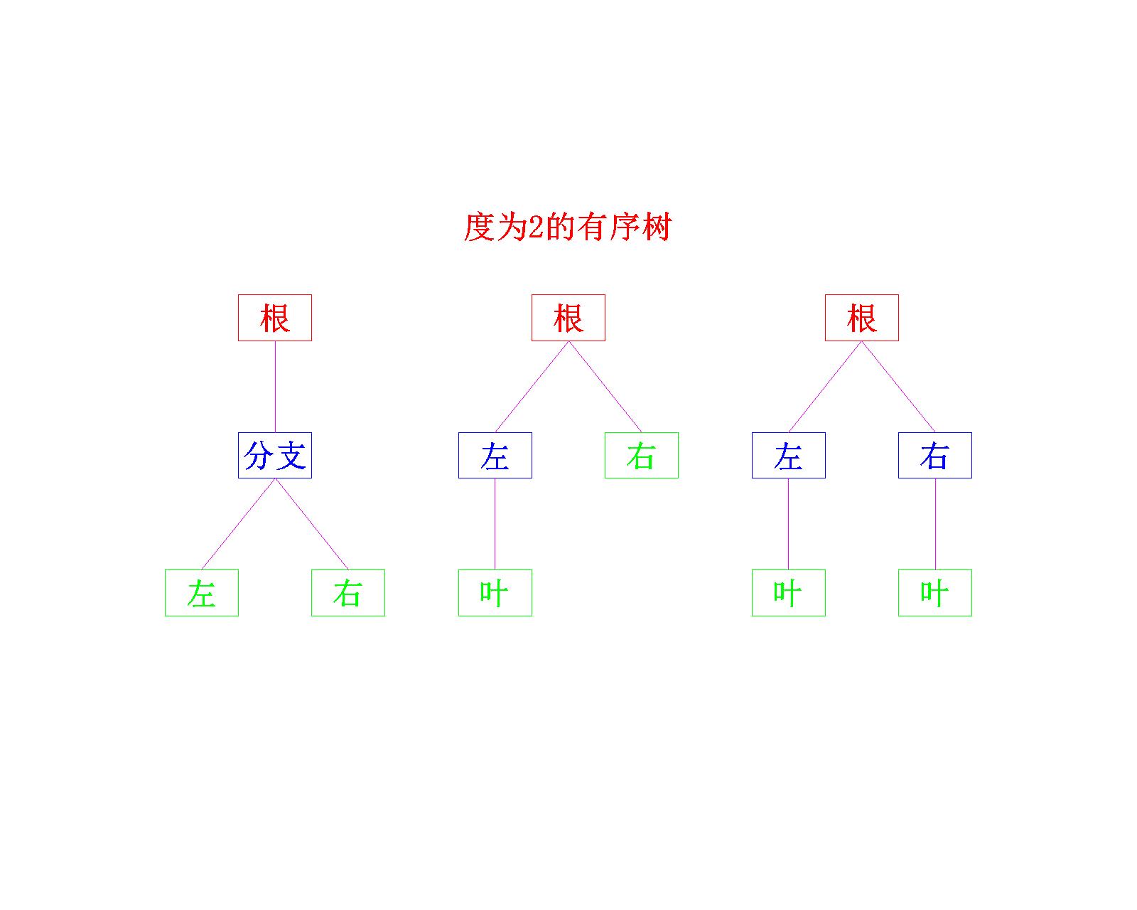 【数据结构】树与二叉树——二叉树的概念_二叉树_06