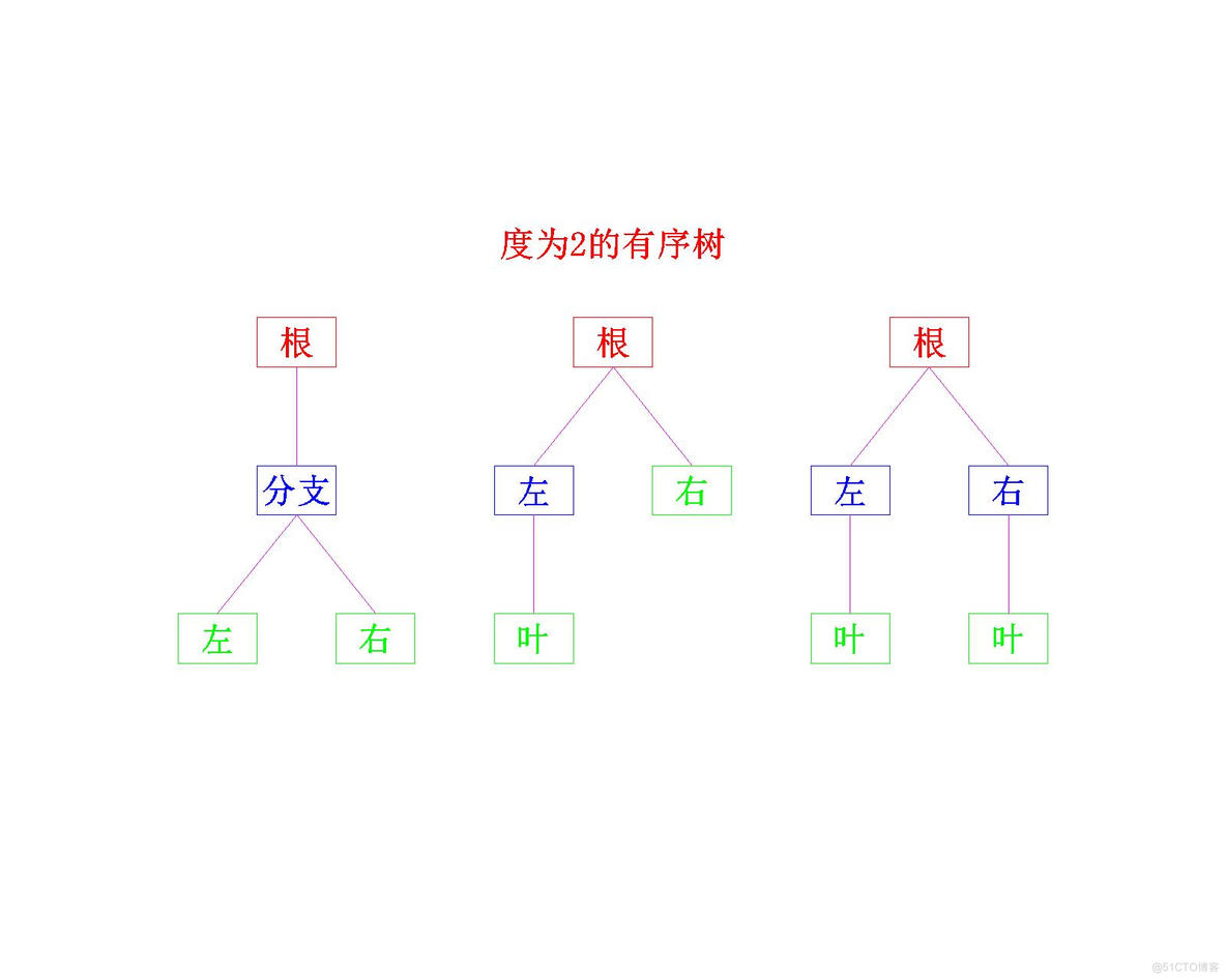 【数据结构】树与二叉树——二叉树的概念_C语言_06