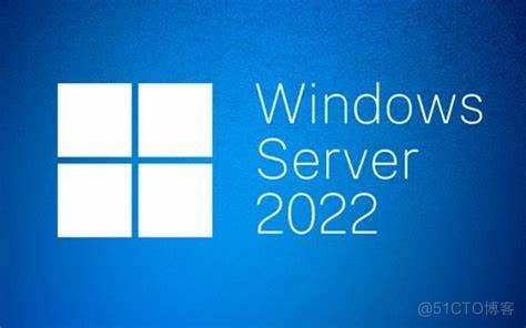 [Windows Server]什么是 Windows Server 客户端访问许可证 （CAL）？_OEM_02