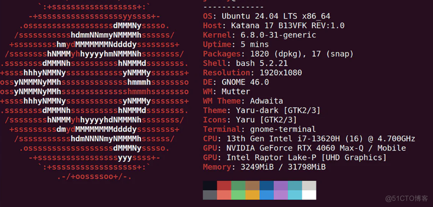 使用 Ubuntu 在本地部署运行Ollama_本地 LLM